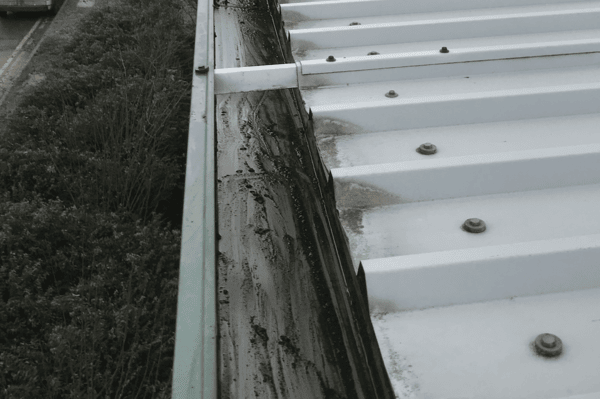Commercial gutter cleaning specialists in Thatcham